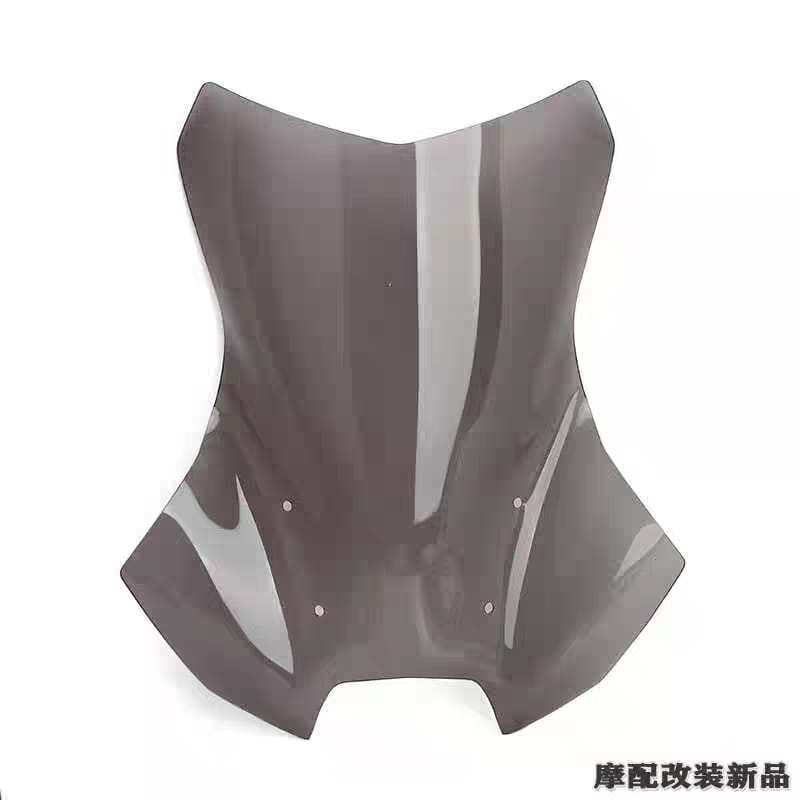 BMW 1300 GSA Windshield - Imported Smoke Magic Bikers